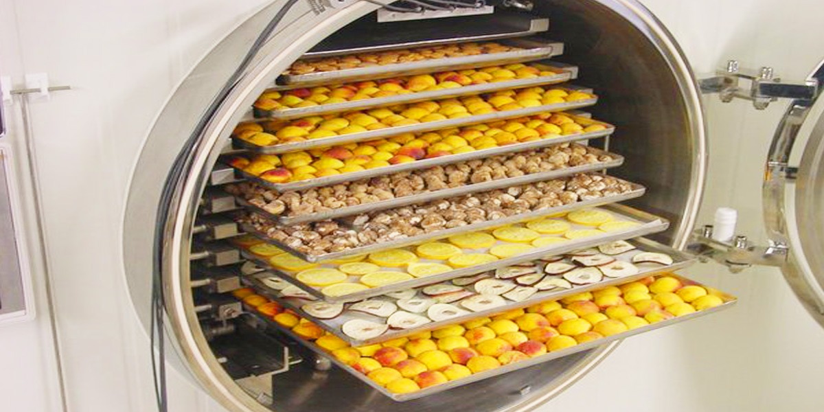 Conservación de Alimentos por Liofilización